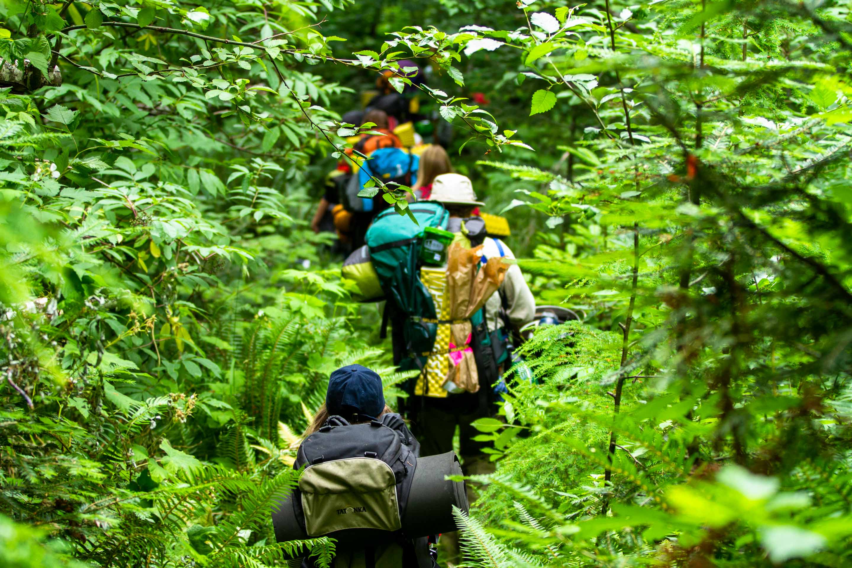 Unsere Umweltbotschafter wandern mit vollem Gepaeck im Wald in Westkanada. 